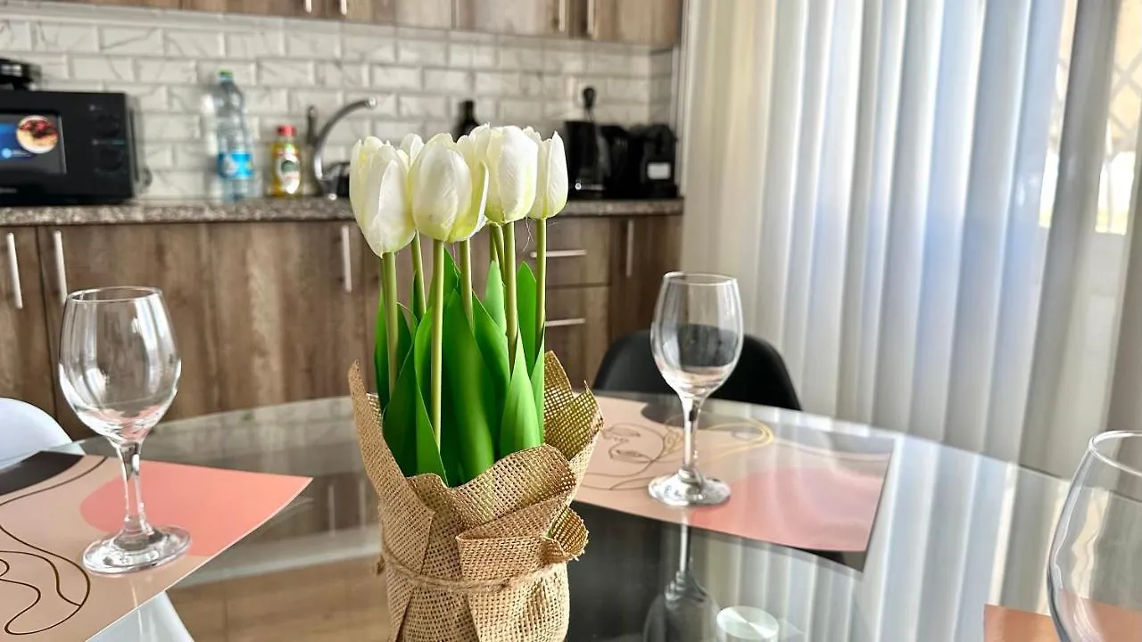 Sea View Two Bedrooms Apartment Haifa Israel